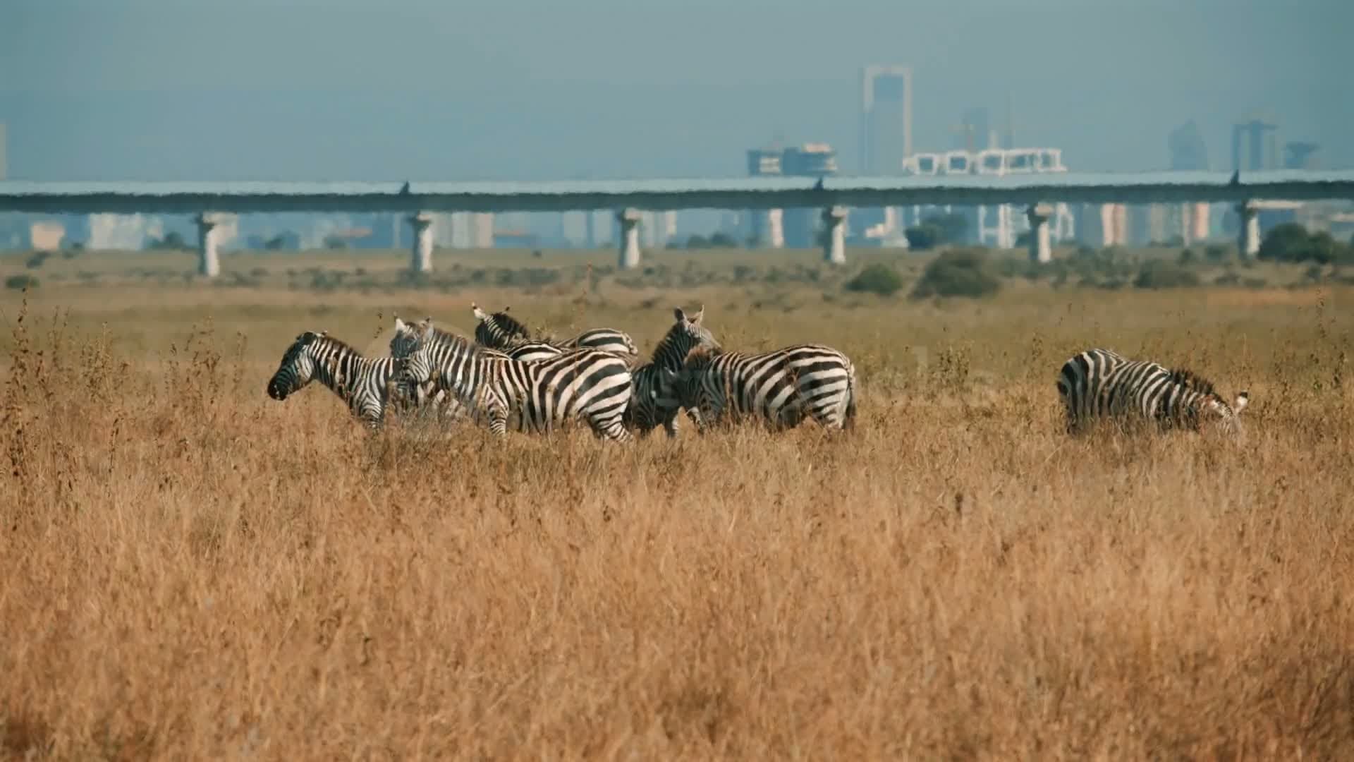 Nairobi